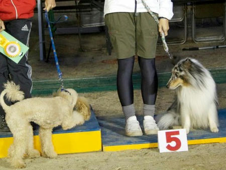 576510_2436386606064_584827788_ruke3.jpg