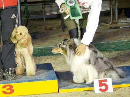 580941_2436387526087_1035333837_ruke4.jpg