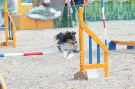 121021sendai-mac.jpg