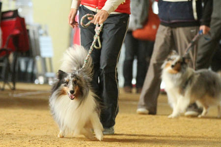 121125chiiosora2.jpg