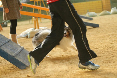 121125chiikosora8.jpg