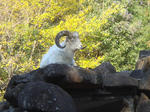 DSC00892.JPG