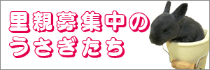 fp.gif