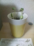 20080415225900.jpg