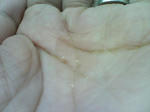 SN341114.JPG
