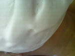 SN342314.JPG