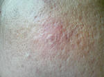 KIREI_SN341126.JPG