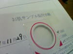 KIREI_SN340802.JPG