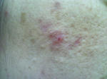 KIREI_SN341084.JPG