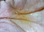 KIREI_SN342591.JPG