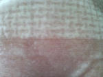 KIREI_SN342615.JPG