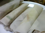 KIREI_SN342648.JPG