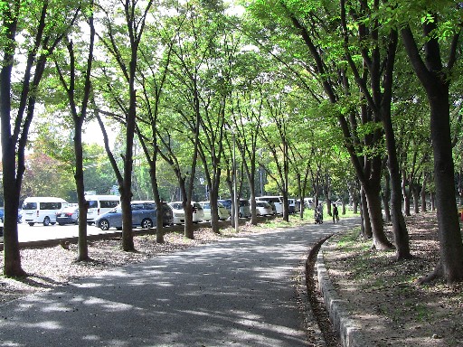 KIREI_IMG_0136.JPG