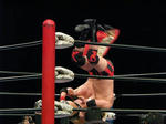 二人ぶん投げる諏訪魔