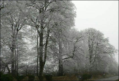 hoarfrost1_420x284_.jpg