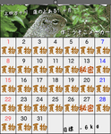 209051c2.png