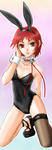 bunny2011-4a.jpg