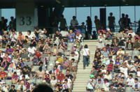 バックスタンド