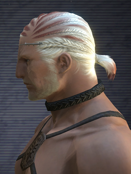 20100803001.png