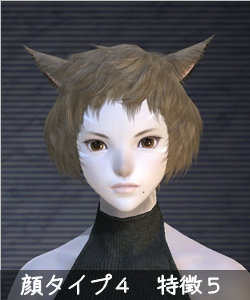 6e9c885a.png