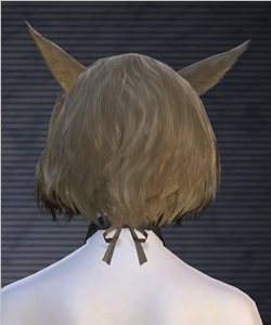 k-1b.png