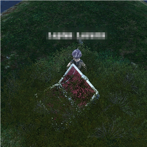 20100812004.png