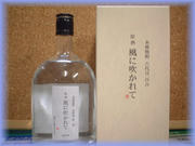 2007風に吹かれて