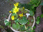 DSCN2815.JPG