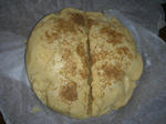 DSCN2868.JPG