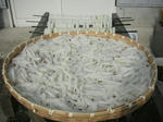 DSCN3008.JPG