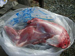 DSCN3027.JPG
