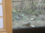 DSCN3028.JPG