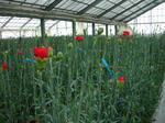 DSCN3194.JPG