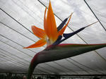 DSCN3200.JPG