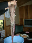 DSCN3253.JPG