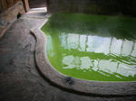 DSCN3296.JPG