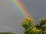 DSCN3359.JPG