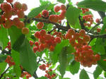 DSCN3366.JPG