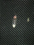 DSCN3369.JPG