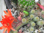 DSCN3367.JPG