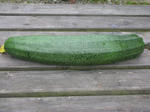 DSCN3371.JPG