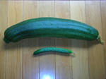 DSCN3372.JPG