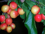 DSCN3376.JPG