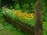 DSCN3379.JPG