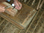 DSCN3413.JPG