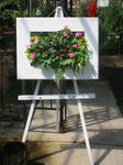 DSCN3561.JPG