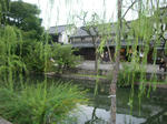 586a0848.JPG