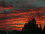 DSCN3651.JPG
