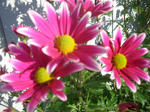 DSCN3662.JPG