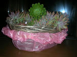 DSCN3666.JPG